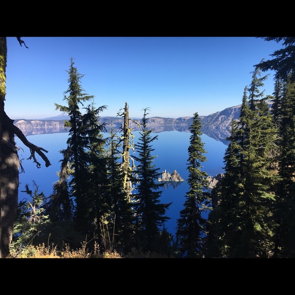 Meet your Posher, G - Picture 1 of 1